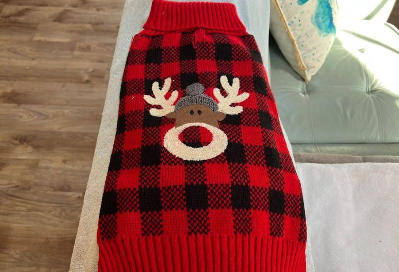 犬のクリスマス服